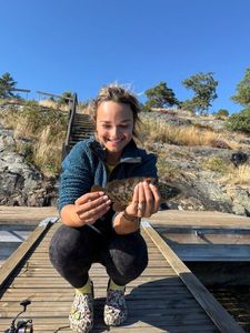 Ballan Wrasse