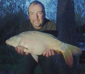 Mirror Carp