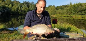 Mirror Carp