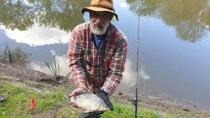 Common Bream