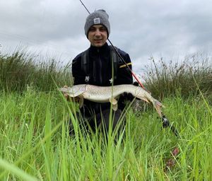 Northern Pike