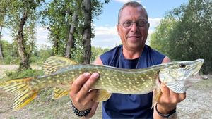 Northern Pike
