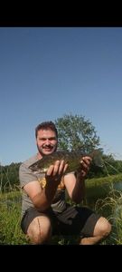 Zander