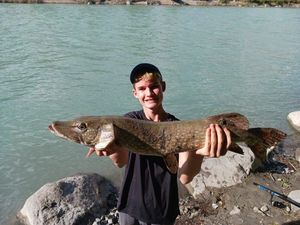Northern Pike