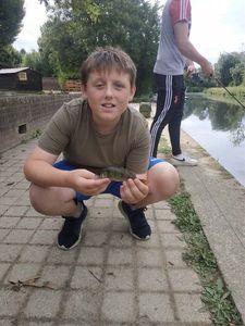 European Perch