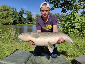 Grass Carp