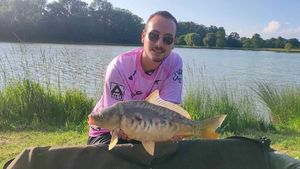 Common Carp
