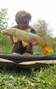 Common Carp