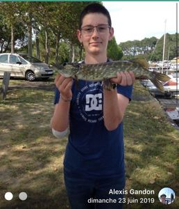Northern Pike