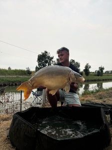 Leather Carp