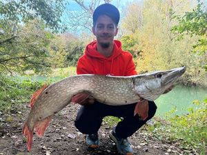 Northern Pike