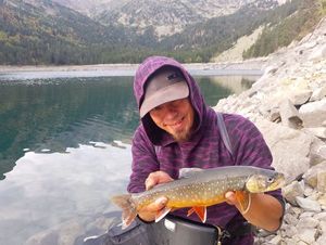 Arctic Char