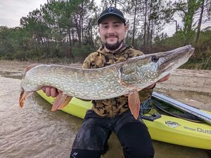 Northern Pike