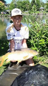 Mirror Carp