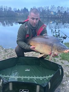 Mirror Carp