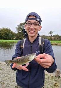 Largemouth Bass