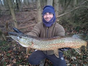 Northern Pike