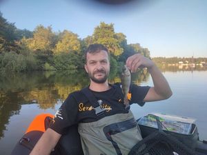 European Perch