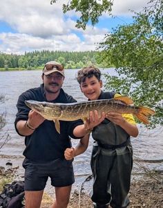 Northern Pike