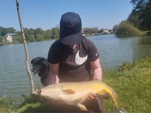 Mirror Carp