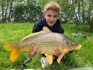 Common Carp