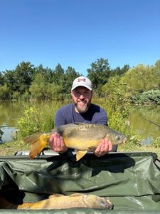 Mirror Carp