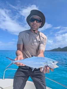 Talang Queenfish