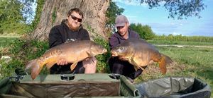 Mirror Carp