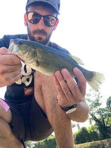 Smallmouth Bass