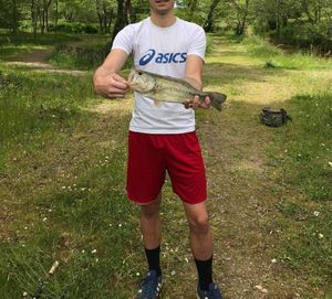 Largemouth Bass
