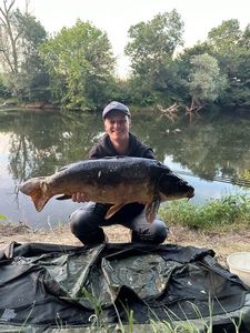 Mirror Carp