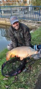 Mirror Carp
