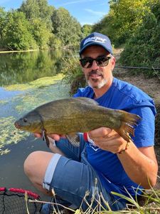 Tench