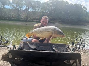 Common Carp