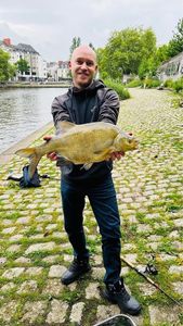 Common Bream