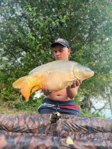 Mirror Carp