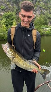 Zander