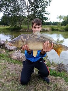 Mirror Carp