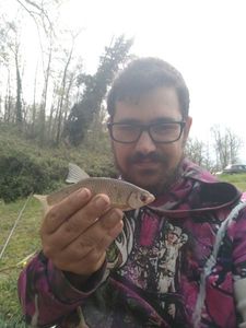 Roach