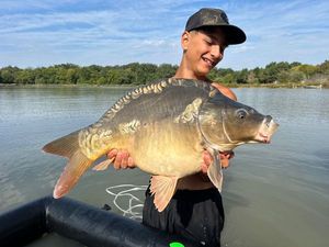 Mirror Carp