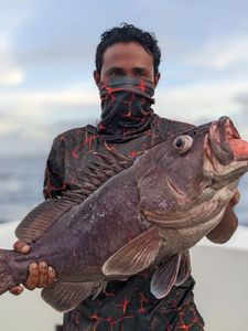 Grouper