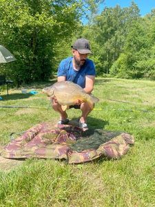 Mirror Carp
