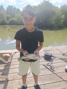 Largemouth Bass