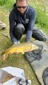 Mirror Carp