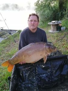 Mirror Carp