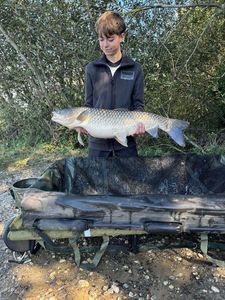Grass Carp