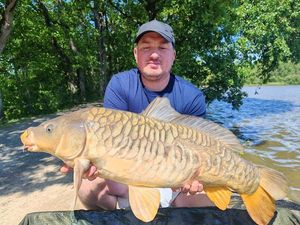 Common Carp