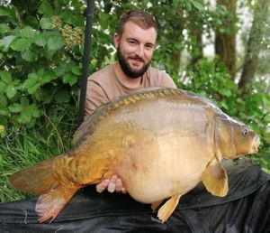 Mirror Carp