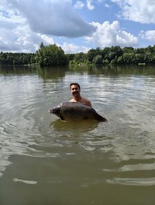 Common Carp