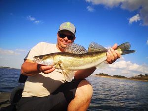 Zander